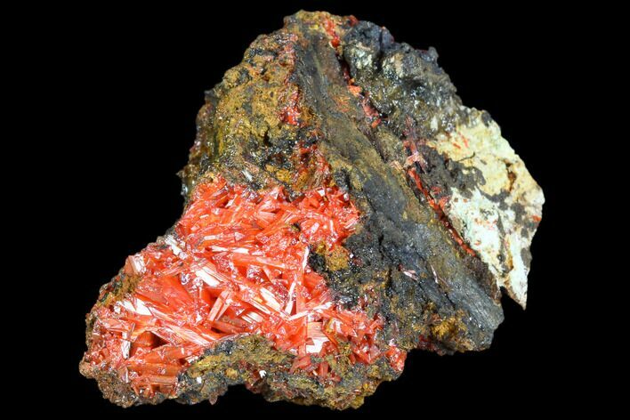 Bright Orange Crocoite Crystal Cluster - Tasmania #103797